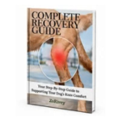 Complete Recovery Guide eBook cover