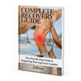 Recovery guide